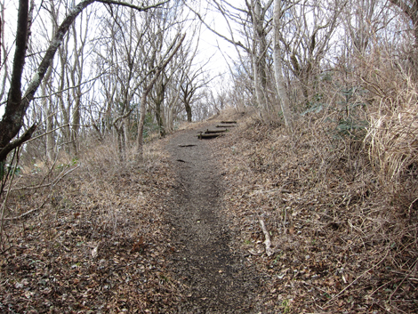 20200122hike (78)